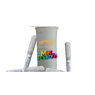 Gatrina Mini Nevados
